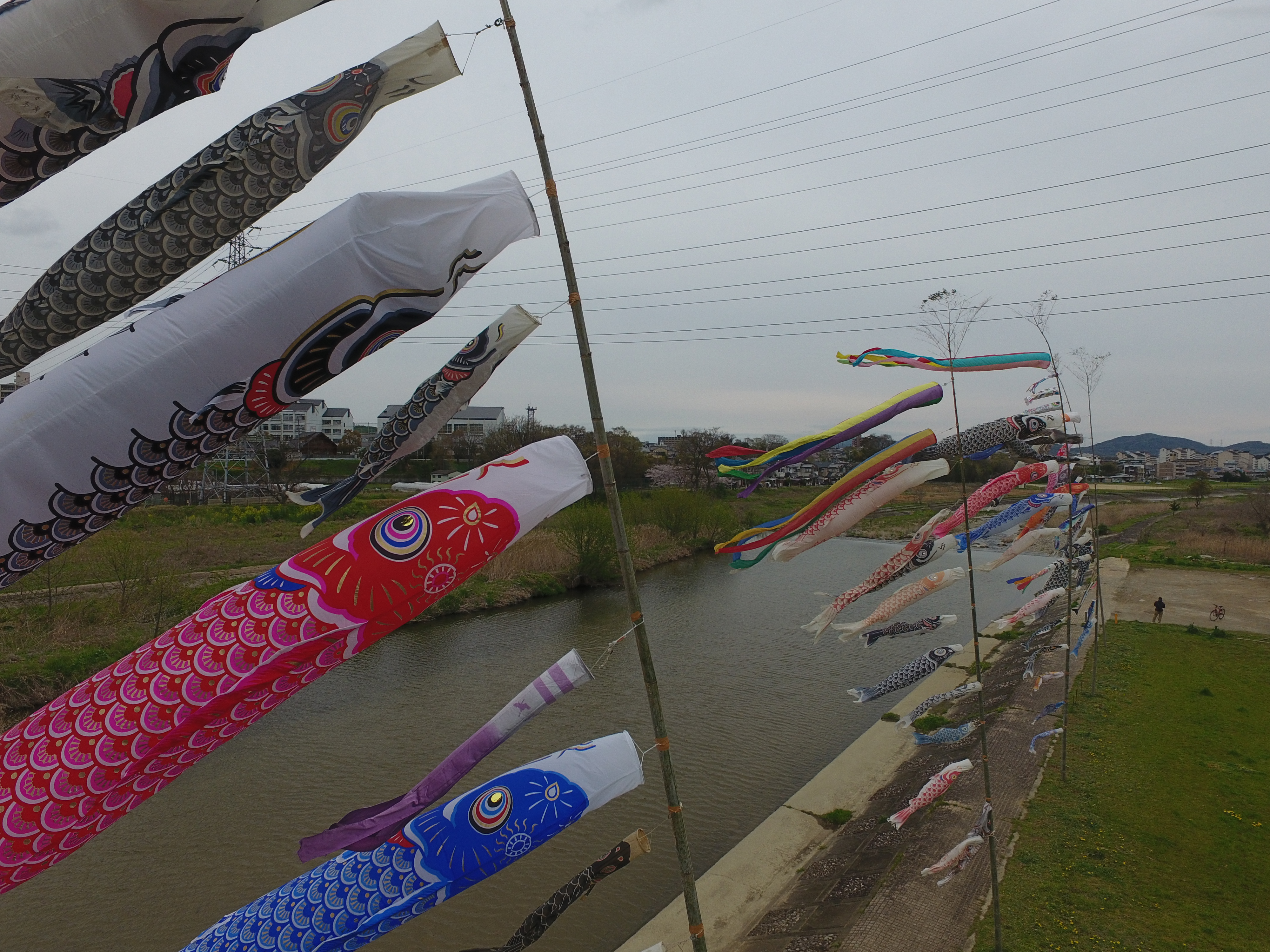 こいのぼり写真１